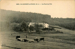 St Bonnet Le Froid * Vue Sur Le Fort Du Pré * Ferme ? - Andere & Zonder Classificatie