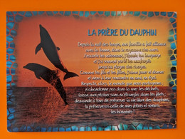 DAUPHIN  DOLPHIN - Dauphins