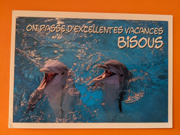 DAUPHIN  DOLPHIN    PARC ZOOLOGIQUE PARC AQUATIQUE - Dauphins