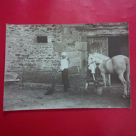 PHOTO CHEVAL PANSAGE 1896 LIEU A IDENTIFIER - Alte (vor 1900)