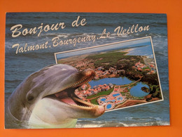 DAUPHIN  DOLPHIN  TALMONT BOURGGENAY LE VEILLAN - Dauphins