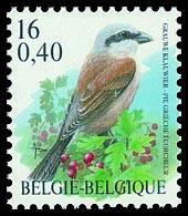 België 2885 - Vogels - Oiseaux - André Buzin - Grauwe Klauwier - Pie-grièche écorcheur - Ungebraucht