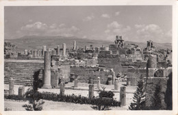 Algérie - Tébessa - Ruines De La Basilique - Photographie - Archéologie - Tebessa