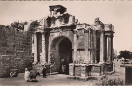 Algérie - Tébessa - Porte De Caracalla - Archéologie - Tebessa