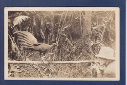 CPA Australie Carte Photo écrite Voir Dos - Altri & Non Classificati