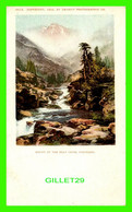 DENVER, CO - MOUNT OF THE HOLY CROSS - 1898, DETROIT PHOTOGRAPHIC CO - - Denver
