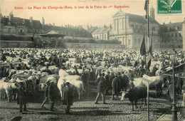Autun * La Place Du Champ De Mars * Jour De Foire Aux Bestiaux Boeufs Du 1er Septembre * Marchand Marché - Autun