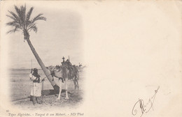 Algérie - Scènes Et Types - Types Algériens - Targui Et Son Mehari - Précurseur 1901 - Oblitération Alger Tourny 27 - Scenes