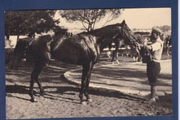 CPA Cheval Horse Carte Photo Voir Dos - Horses
