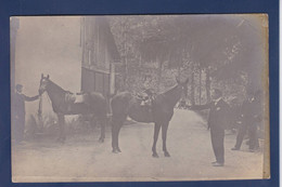 CPA Cheval Horse Carte Photo Non Circulé - Horses