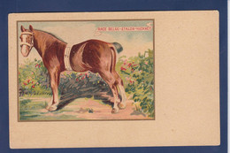 CPA Cheval Horse  Non Circulé - Paarden