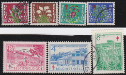 Belgie     .    OBP   .   834/840   .      O       .    Gestempeld     .   /   .  Oblitéŕe - Used Stamps