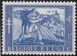 Belgie     .    OBP   .   960       .    **    .    Postfris   .   /   .  Neuf SANS Charnière - Unused Stamps