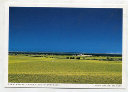 AK 06554 AUSTRALIA - South Australia - Farmland Bei Ceduna - Autres & Non Classés