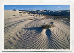 AK 06559 AUSTRALIA -  South Australia - Yanerbie Sandhills An Der Streaky Bay - Andere & Zonder Classificatie