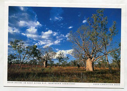 AK 06573 AUSTRALIA - Northern Territory - Keep River N. P. - Boab-Bäume - Unclassified