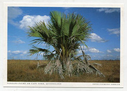 AK 06605 AUSTRALIA - Queensland - Pandani-Palme Am Cape York - Otros & Sin Clasificación