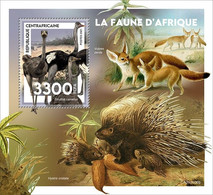 Centrafrica 2021, Animals, Fox, Ostrich, BF - Ostriches