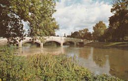 LEICESTER - ABBEY PARK - Leicester