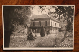 Carte Photo CPA Ak Animée Voyagée 68 Haut Rhin Mulhouse - Mulhouse