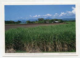 AK 06606 AUSTRALIA - Queensland - Zuckerrohrplantage Bei Babinda - Andere & Zonder Classificatie