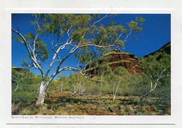 AK 06682 AUSTRALIA - Western Australia - Ghost-Gum Bei Wittenoom - Sonstige & Ohne Zuordnung