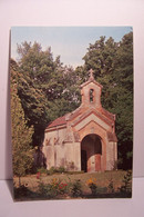MONTECH   - Monastère Des Bénédictines  - Chapelle Du Parc  - ( Pas De Reflet Sur L'original ) - Montech