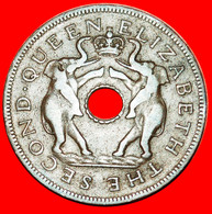 * GREAT BRITAIN (1955-1963): RHODESIA AND NYASALAND ★ 1 PENNY 1957 ELEPHANTS DISCOVERY COIN! LOW START ★ NO RESERVE! - Rhodesia