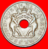 * GREAT BRITAIN (1955-1963): RHODESIA AND NYASALAND ★ 1 PENNY 1958 ELEPHANTS! Die 1. LOW START ★ NO RESERVE! - Rhodesia