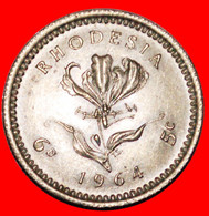 * GREAT BRITAIN DOUBLE DENOMINATION: RHODESIA ★ 6 PENCE - 5 CENTS 1964 MINT LUSTRE! LOW START ★ NO RESERVE! - Rhodesië