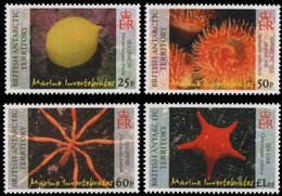 British Antarctic Territory 2007, Marine Life, MNH Stamps Set - Neufs