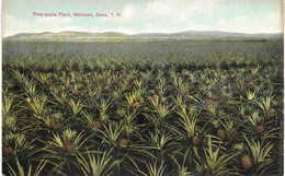 Carte POSTALE  Ancienne  De  HAWAII - OAHU / Pine Apple Field - Oahu