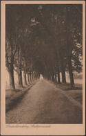 Stadtpromenade, Deutschlandsberg, C.1920 - Franz Pieber AK - Deutschlandsberg