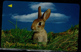 SINGAPORE 2003 PHONECARDS RABBITS USED VF!! - Rabbits