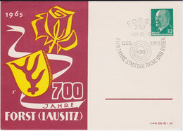 DDR Ulbricht Privatganzsache PP 8/40 SSt Forst Lausitz 1965 - Privé Postkaarten - Gebruikt