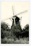E014 - Gemert - Foto - Molen - Moulin - Mill - Mühle - - Gemert