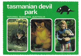 Taranna. Tasmanian Devil Park/ Diable De Tasmanie. Carte Mosaïque. - Autres & Non Classés