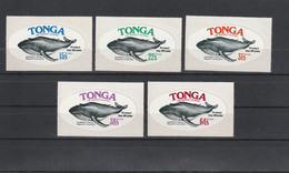 Tonga -  Yvert Série 402 à 406  ** - Faune Marine Baleine - Tonga (1970-...)
