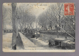 Piolenc, Promenade Des Marronniers (12897) - Piolenc