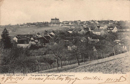 Dep 89 , Cpa  NEUVY-SAUTOUR , 5 , Vue Prise De La Grand'Vigne (cliché Graux) (31082) - Neuvy Sautour