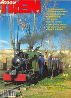 Revista Hooby Tren Nº 33 - [4] Tematica