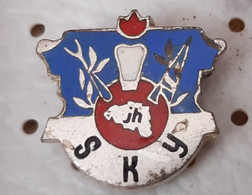 Dentiste Dentistry Tooth Stomatology  Dents Medical, Medicine Yugoslavia Pin - Médical