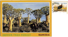 NAMIBIA  KEETMANSHOOP  Quiver Tree Forest  Nice Stamp - Namibië