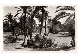 TUNISIE ---ZARZIS --1951--Campement De Nomades  ( Animée )...timbre....beau Cachet.............à Saisir - Tunisia