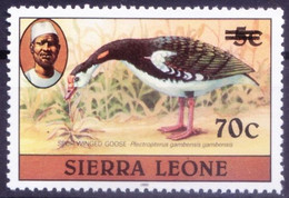 Sierra Leone 1982 MNH, Spur-winged Goose Water Birds, OVP 70c - Oche