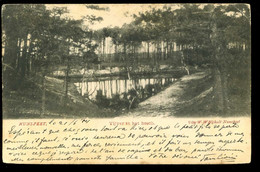 Nunspeet Vijver In Het Bosch Nijholt 1904 - Nunspeet