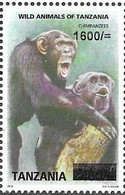 TANZANIA, 2018,MNH, PRIMATES,CHIMPANZEES, 1v,OVERPRINT - Chimpanzees