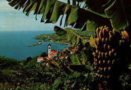 CPM - MADEIRA - FUNCHAL - Vues Panoramiques (côté Est) ... Lot 5 CP à Saisir - Madeira