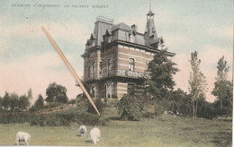 Environs D'Alsemberg: Le Chateau Bosquet, 1919 - Beersel