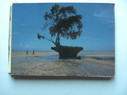 Solomon Islands Low Tide Temotu Province - Salomon